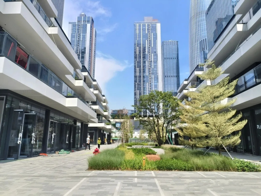 大家财险深圳总部大厦办公区实景图