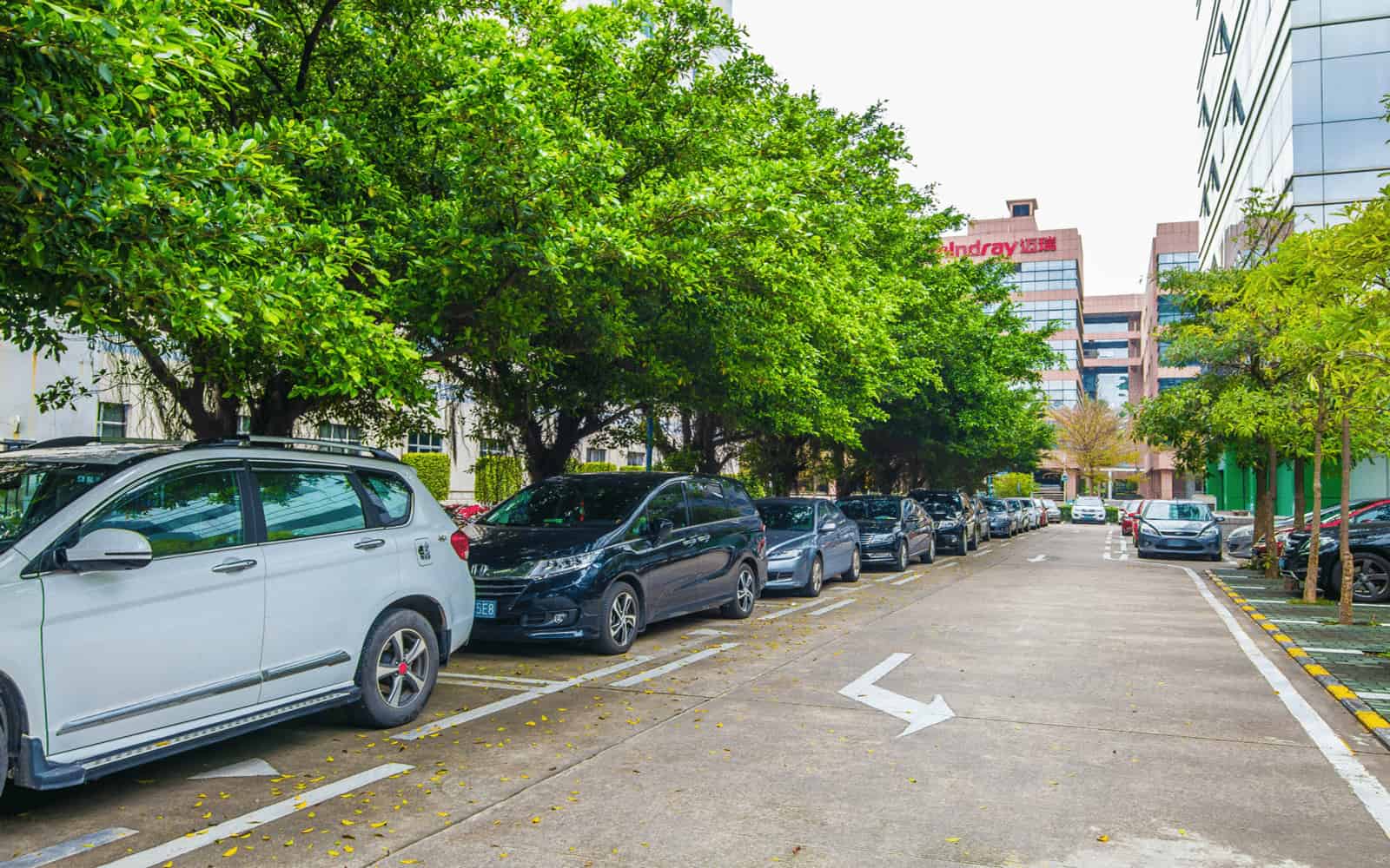 中电照明大厦办公区实景图